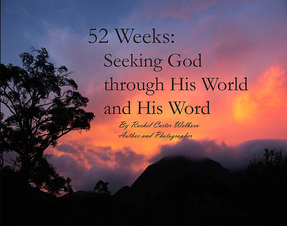 52 Week-Seeking God Book
